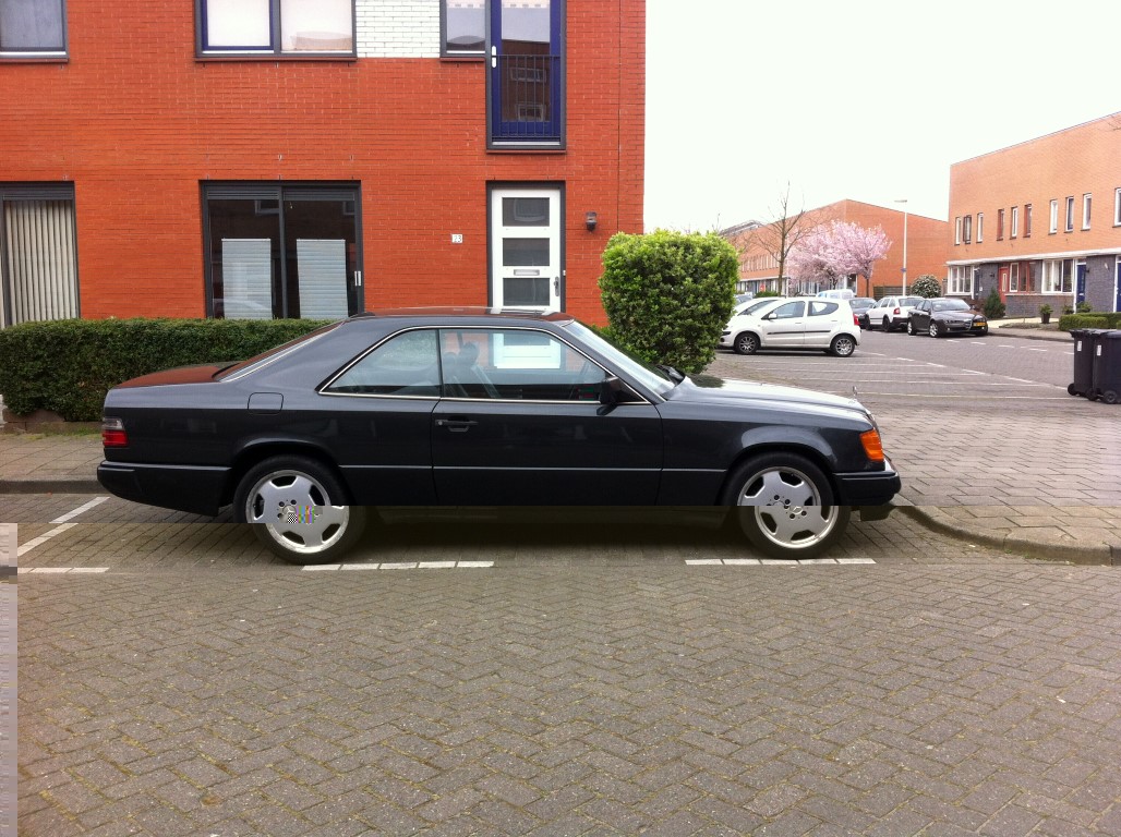 IMG_2010 (Medium).JPG