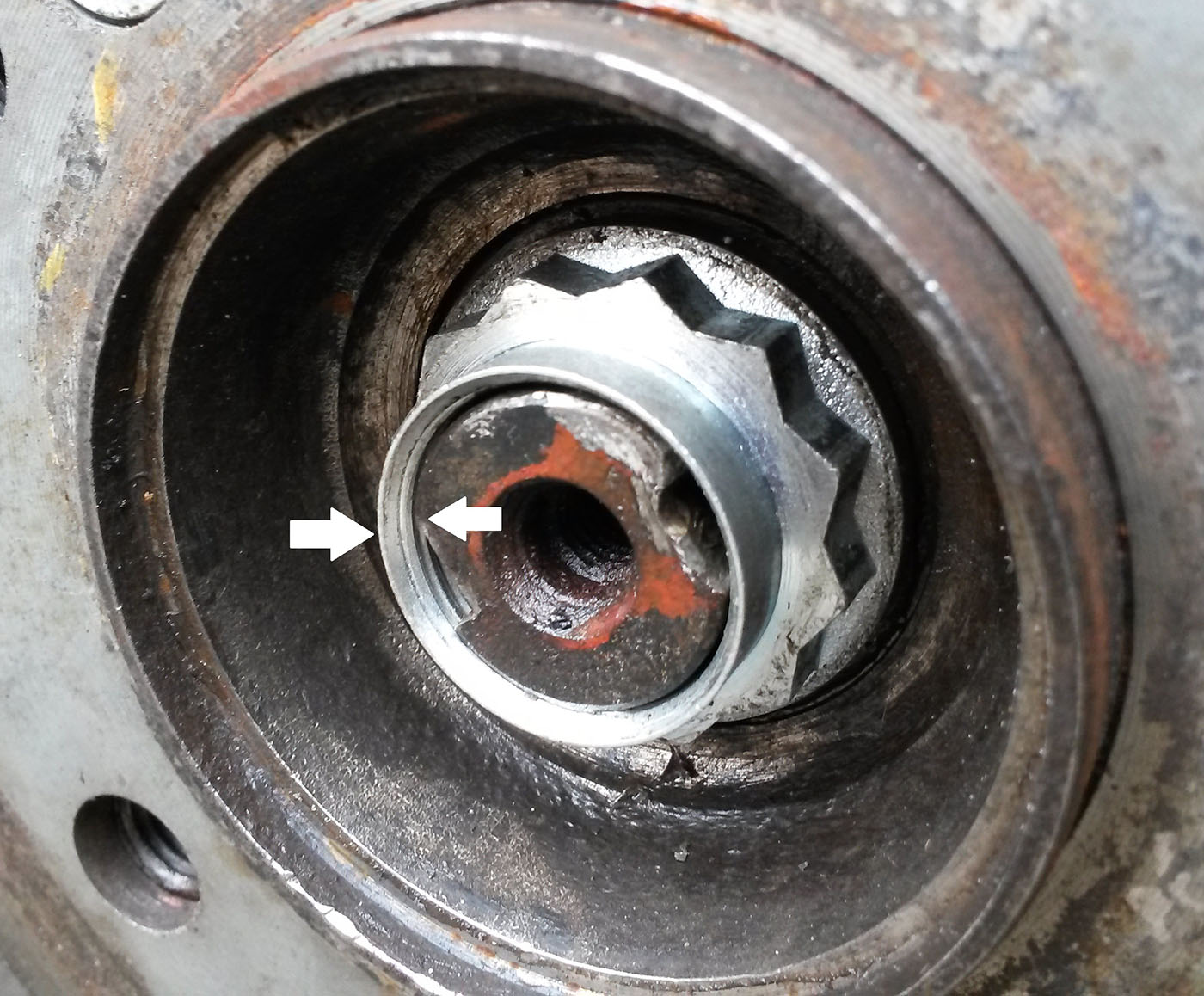 Hinterachs Mutter.jpg