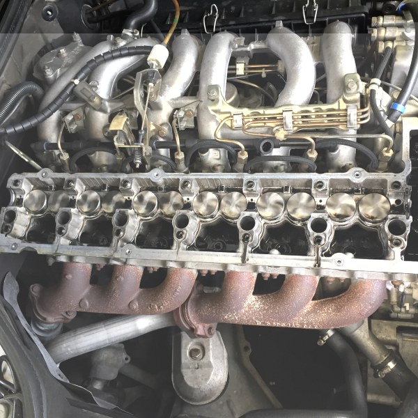 nieuwe stoters erin.