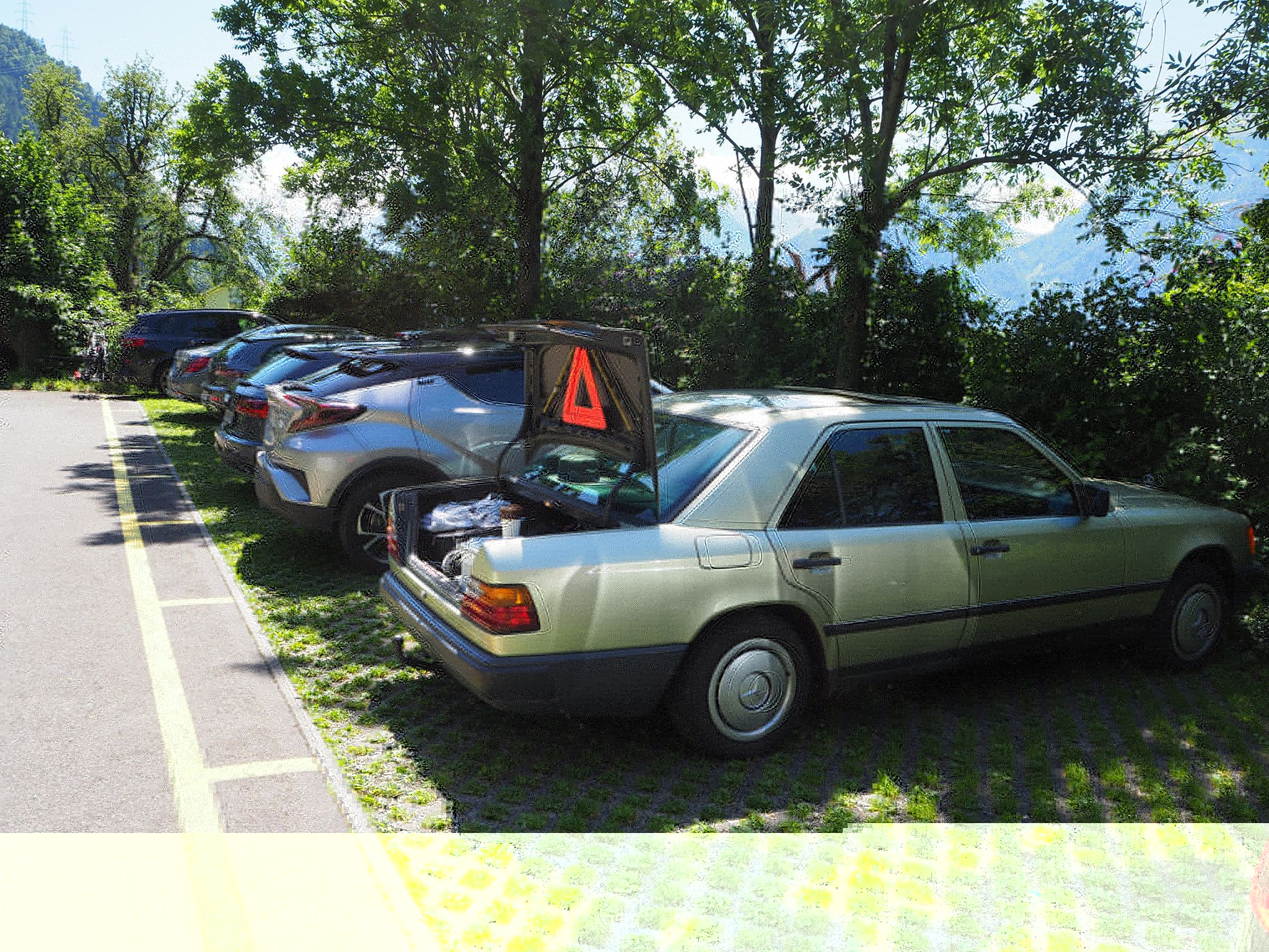 2020 07 bij L├╝zern.jpg