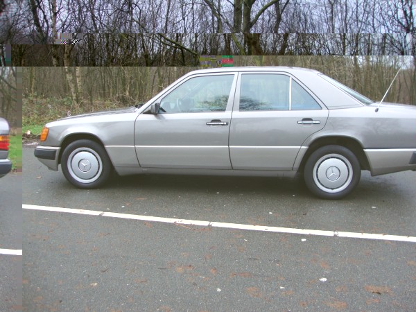 DSC01765 (1280x960).jpg